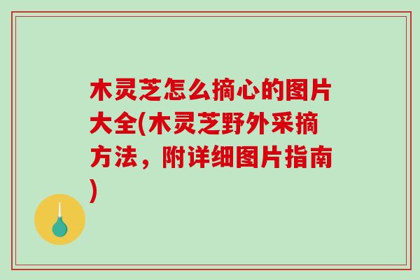 木灵芝怎么摘心的图片大全(木灵芝野外采摘方法，附详细图片指南)