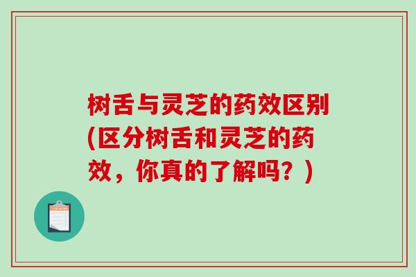 树舌与灵芝的区别(区分树舌和灵芝的，你真的了解吗？)