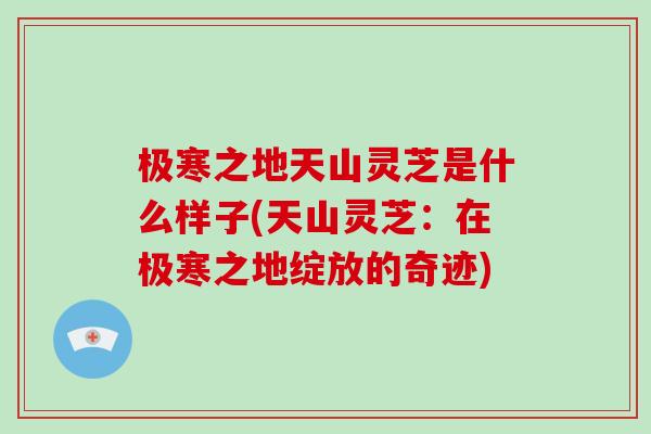 极寒之地天山灵芝是什么样子(天山灵芝：在极寒之地绽放的奇迹)