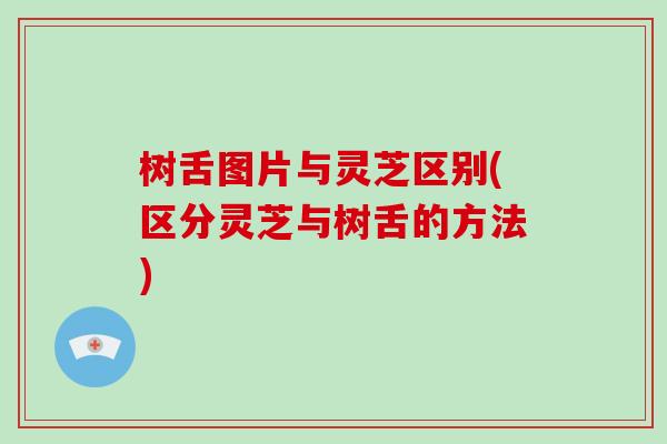 树舌图片与灵芝区别(区分灵芝与树舌的方法)