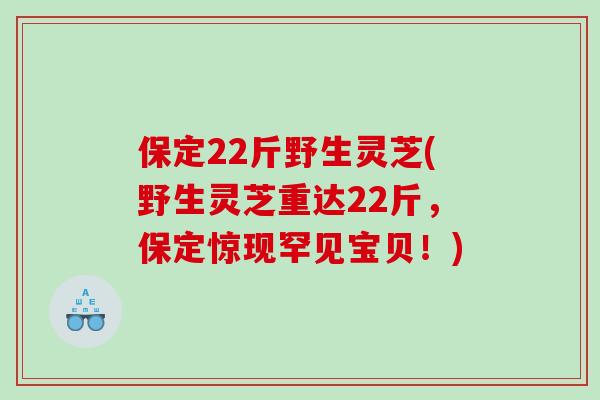 保定22斤野生灵芝(野生灵芝重达22斤，保定惊现罕见宝贝！)