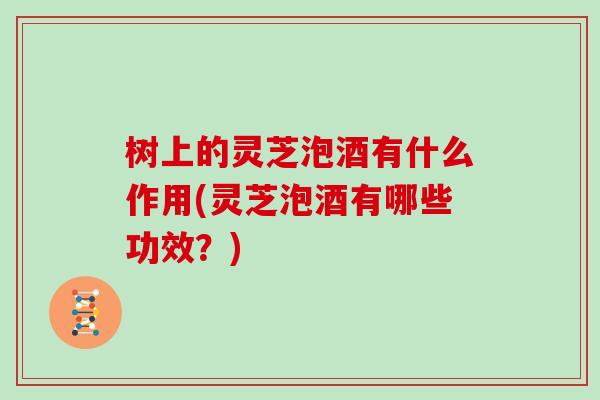 树上的灵芝泡酒有什么作用(灵芝泡酒有哪些功效？)