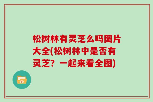 松树林有灵芝么吗图片大全(松树林中是否有灵芝?一起来看全图) 松树林有灵芝么吗图片大全(松树林中是否有灵芝?一起来看全图)