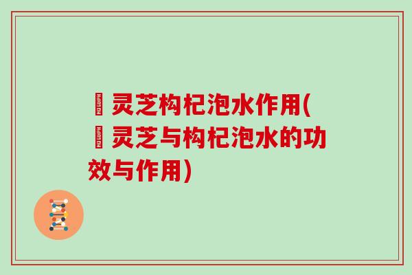 枦灵芝构杞泡水作用(枦灵芝与构杞泡水的功效与作用)
