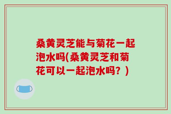 桑黄灵芝能与菊花一起泡水吗(桑黄灵芝和菊花可以一起泡水吗？)