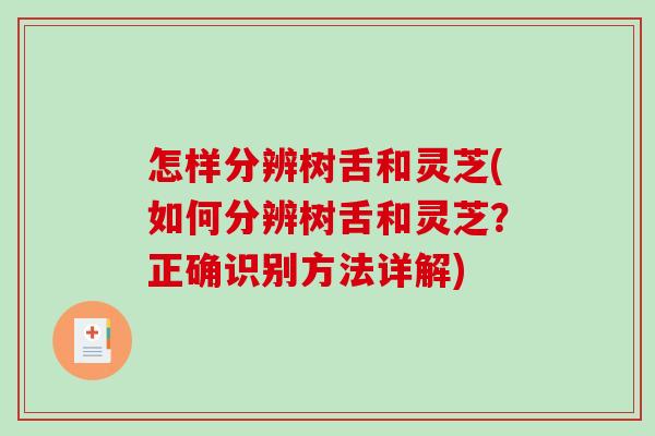 怎样分辨树舌和灵芝(如何分辨树舌和灵芝？正确识别方法详解)
