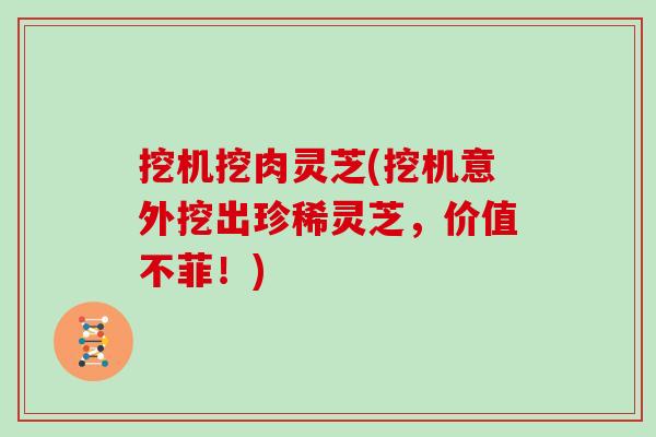 挖机挖肉灵芝(挖机意外挖出珍稀灵芝，价值不菲！)