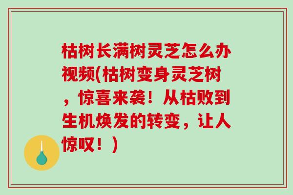 枯树长满树灵芝怎么办视频(枯树变身灵芝树，惊喜来袭！从枯败到生机焕发的转变，让人惊叹！)