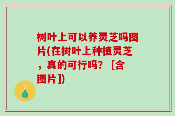 树叶上可以养灵芝吗图片(在树叶上种植灵芝，真的可行吗？ [含图片])
