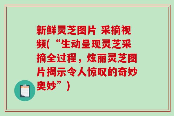 新鲜灵芝图片 采摘视频(“生动呈现灵芝采摘全过程，炫丽灵芝图片揭示令人惊叹的奇妙奥妙”)