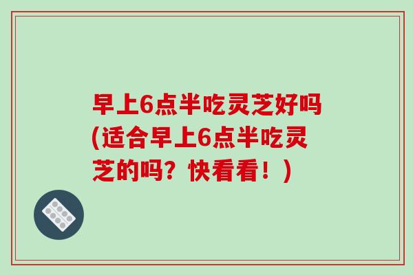 早上6点半吃灵芝好吗(适合早上6点半吃灵芝的吗？快看看！)