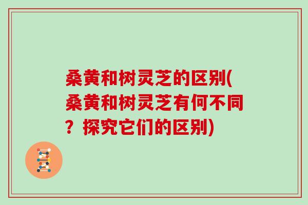 桑黄和树灵芝的区别(桑黄和树灵芝有何不同？探究它们的区别)
