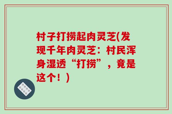 村子打捞起肉灵芝(发现千年肉灵芝：村民浑身湿透“打捞”，竟是这个！)