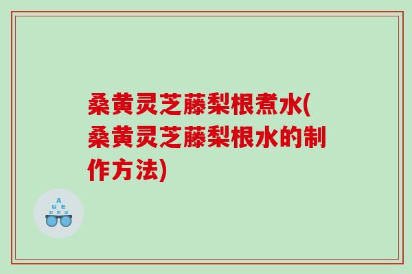桑黄灵芝藤梨根煮水(桑黄灵芝藤梨根水的制作方法)