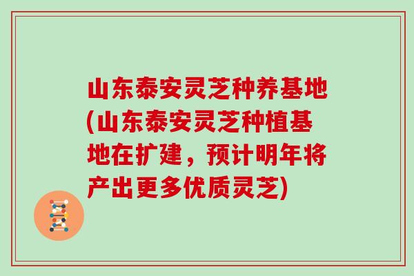 山东泰安灵芝种养基地(山东泰安灵芝种植基地在扩建，预计明年将产出更多优质灵芝)