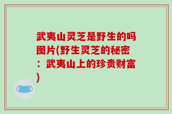武夷山灵芝是野生的吗图片(野生灵芝的秘密：武夷山上的珍贵财富)