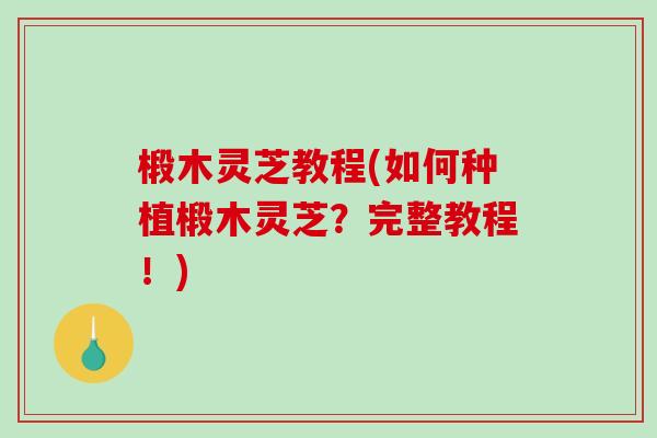 椴木灵芝教程(如何种植椴木灵芝？完整教程！)