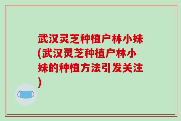武汉灵芝种植户林小妹(武汉灵芝种植户林小妹的种植方法引发关注)