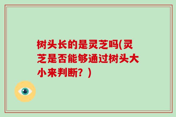 树头长的是灵芝吗(灵芝是否能够通过树头大小来判断？)