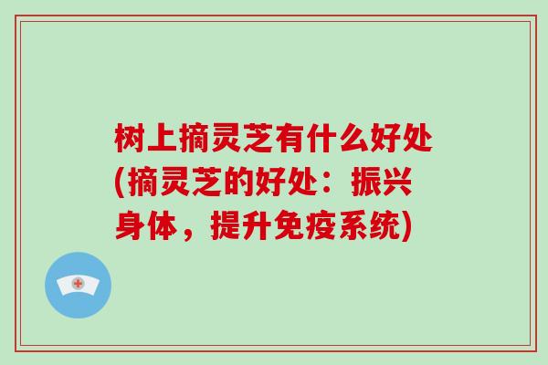 树上摘灵芝有什么好处(摘灵芝的好处：振兴身体，提升免疫系统)