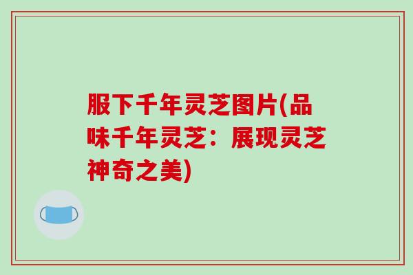 服下千年灵芝图片(品味千年灵芝：展现灵芝神奇之美)