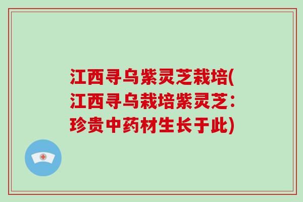 江西寻乌紫灵芝栽培(江西寻乌栽培紫灵芝：珍贵材生长于此)