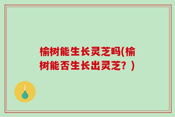 榆树能生长灵芝吗(榆树能否生长出灵芝？)