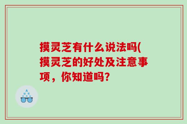 摸灵芝有什么说法吗(摸灵芝的好处及注意事项，你知道吗？
