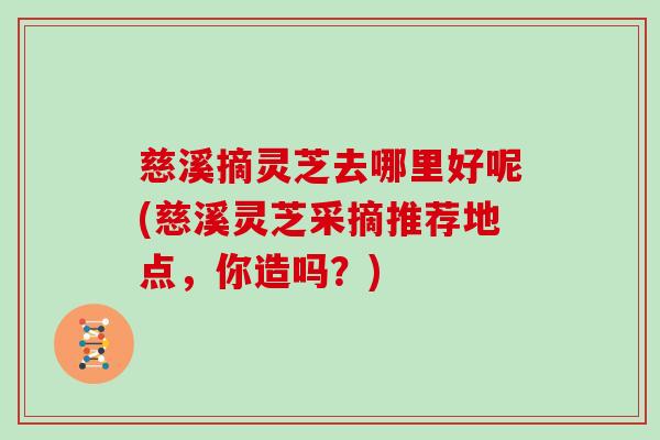 慈溪摘灵芝去哪里好呢(慈溪灵芝采摘推荐地点，你造吗？)