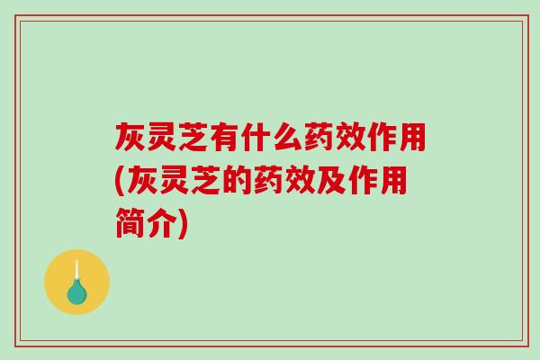 灰灵芝有什么作用(灰灵芝的及作用简介) 灰灵芝有什么作用(灰灵芝的及作用简介)