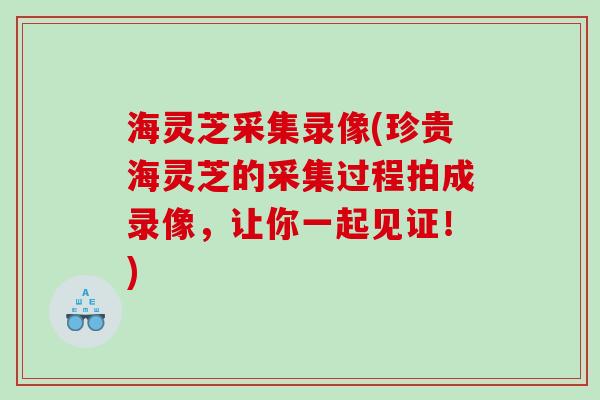 海灵芝采集录像(珍贵海灵芝的采集过程拍成录像，让你一起见证！)
