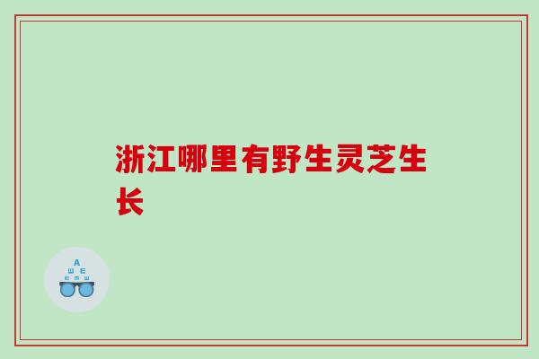 浙江哪里有野生灵芝生长