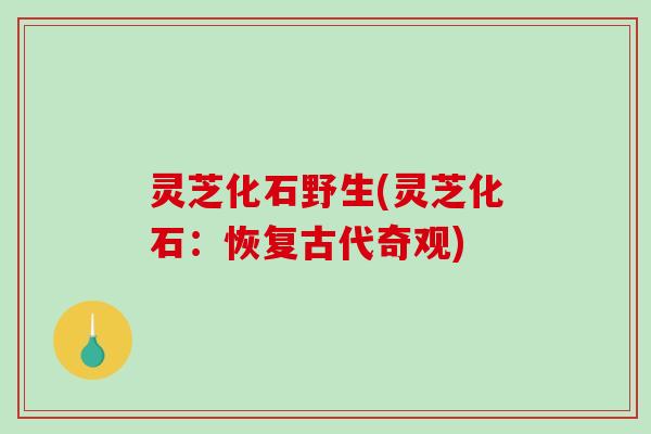 灵芝化石野生(灵芝化石:恢复古代奇观) 灵芝化石野生(灵芝化石:恢复古代奇观)