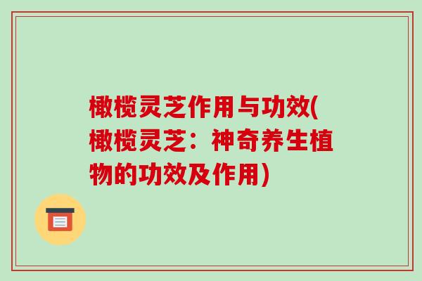 橄榄灵芝作用与功效(橄榄灵芝：神奇养生植物的功效及作用)