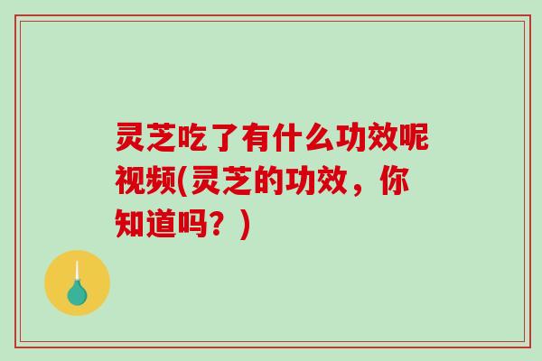 灵芝吃了有什么功效呢视频(灵芝的功效,你知道吗?) 灵芝吃了有什么功效呢视频(灵芝的功效,你知道吗?)