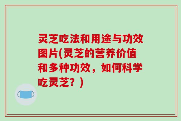 灵芝吃法和用途与功效图片(灵芝的营养价值和多种功效，如何科学吃灵芝？)