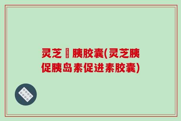 灵芝俢胰胶囊(灵芝胰促促进素胶囊)