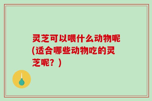灵芝可以喂什么动物呢(适合哪些动物吃的灵芝呢？)