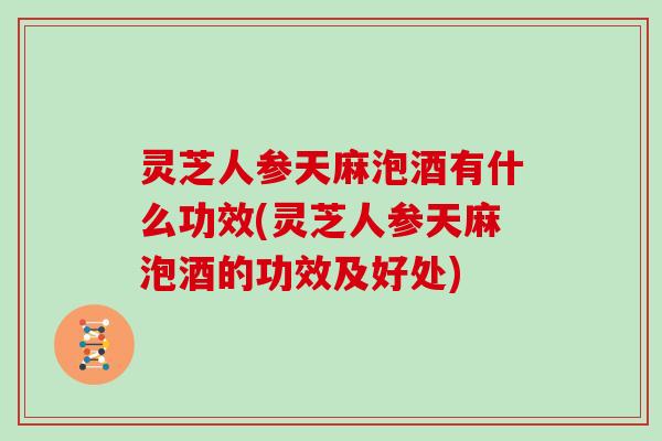 灵芝人参天麻泡酒有什么功效(灵芝人参天麻泡酒的功效及好处)