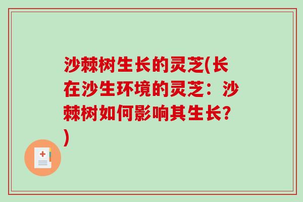 沙棘树生长的灵芝(长在沙生环境的灵芝:沙棘树如何影响其生长?) 沙棘树生长的灵芝(长在沙生环境的灵芝:沙棘树如何影响其生长?)