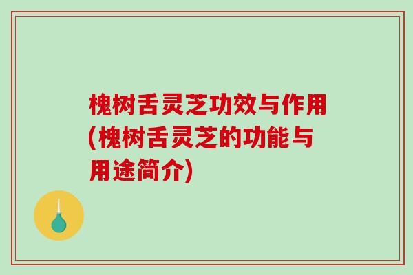 槐树舌灵芝功效与作用(槐树舌灵芝的功能与用途简介)