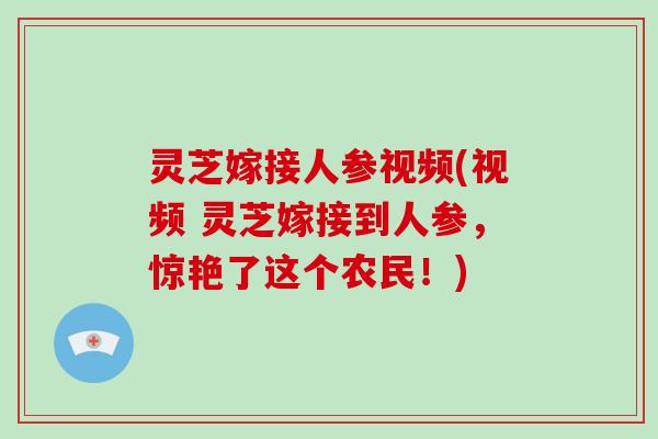 灵芝嫁接人参视频(视频 灵芝嫁接到人参，惊艳了这个农民！)