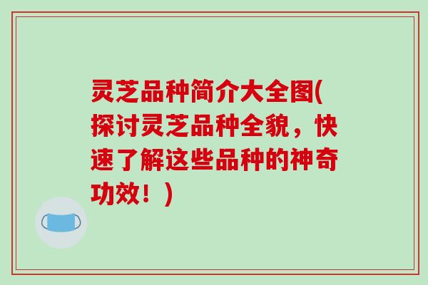 灵芝品种简介大全图(探讨灵芝品种全貌，快速了解这些品种的神奇功效！)