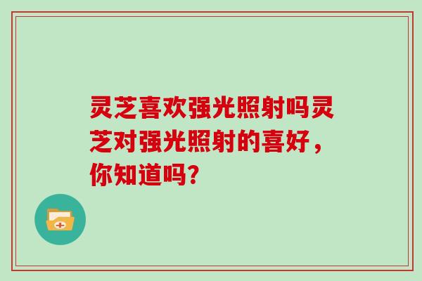 灵芝喜欢强光照射吗灵芝对强光照射的喜好，你知道吗？