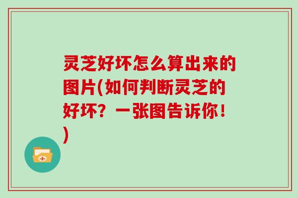 灵芝好坏怎么算出来的图片(如何判断灵芝的好坏？一张图告诉你！)