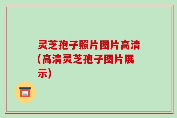 灵芝孢子照片图片高清(高清灵芝孢子图片展示)
