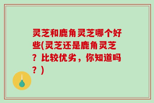 灵芝和鹿角灵芝哪个好些(灵芝还是鹿角灵芝？比较优劣，你知道吗？)