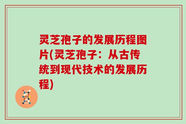 灵芝孢子的发展历程图片(灵芝孢子：从古传统到现代技术的发展历程)