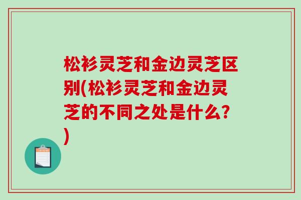 松衫灵芝和金边灵芝区别(松衫灵芝和金边灵芝的不同之处是什么？)