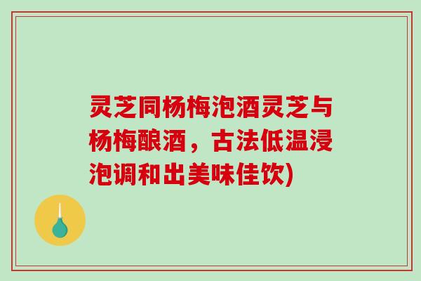 灵芝同杨梅泡酒灵芝与杨梅酿酒，古法低温浸泡调和出美味佳饮)